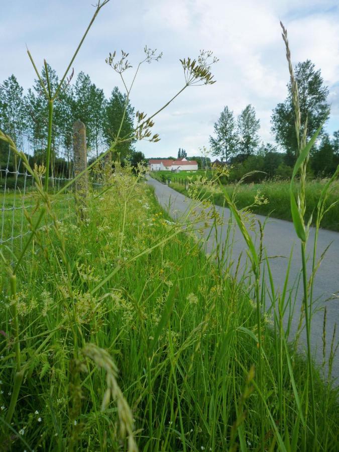 Het Verblijf Sint-Martens-Lennik Ngoại thất bức ảnh
